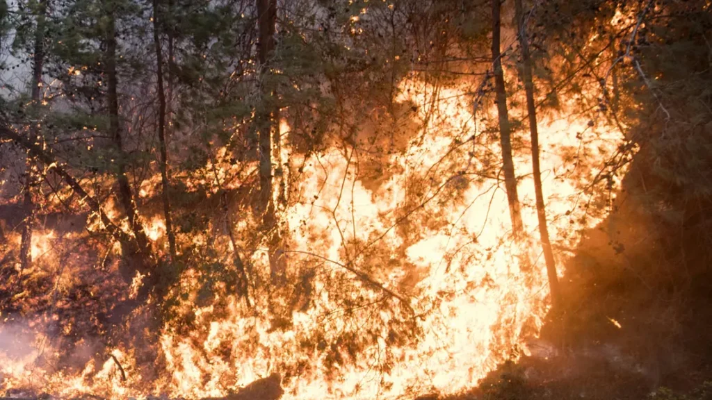 1812a727-9384-4094-b57a-b390354cb179_16x9_1200x676