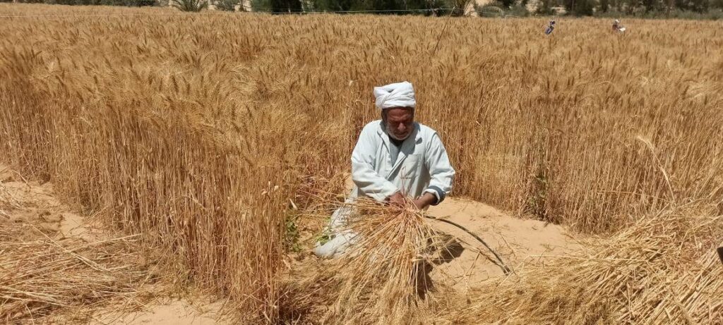 WhatsApp Image 2025-04-19 at 12.45.20_5573b98a