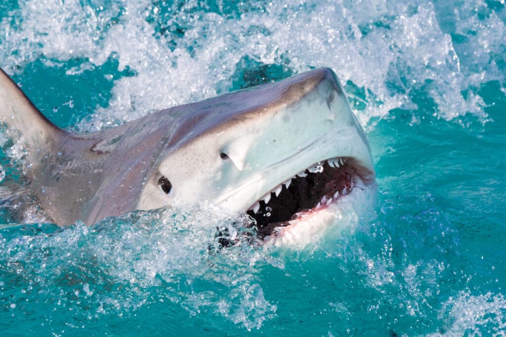 WhatsApp Image 2025-04-21 at 20.22.13_b994194d