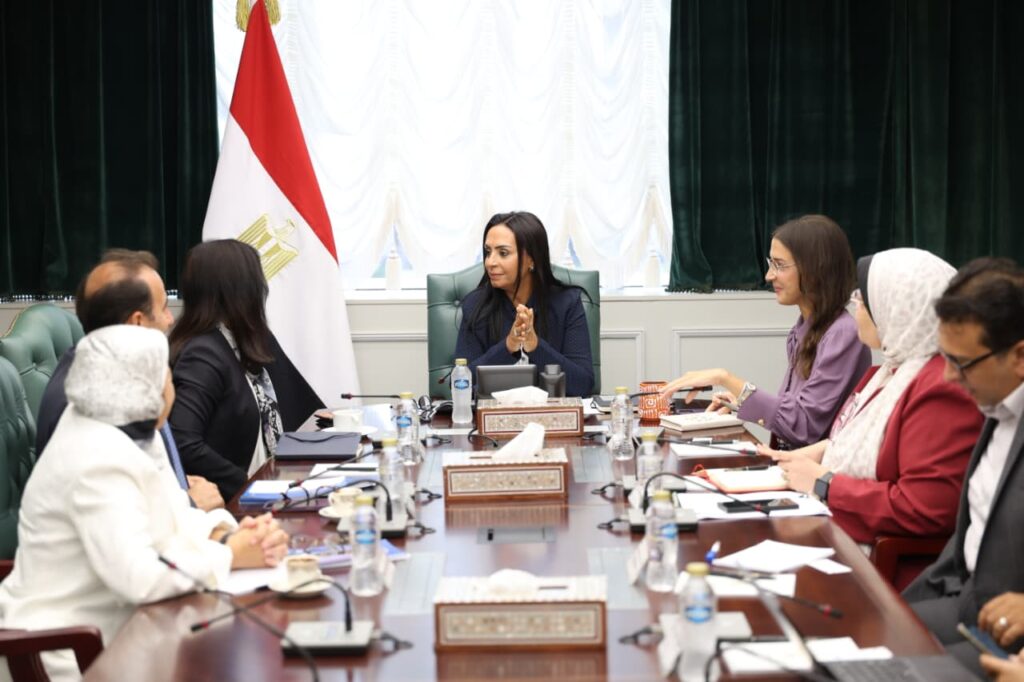 وزيرة التضامن الاجتماعي تلتقي ممثلة برنامج الأمم المتحدة الإنمائي في مصر