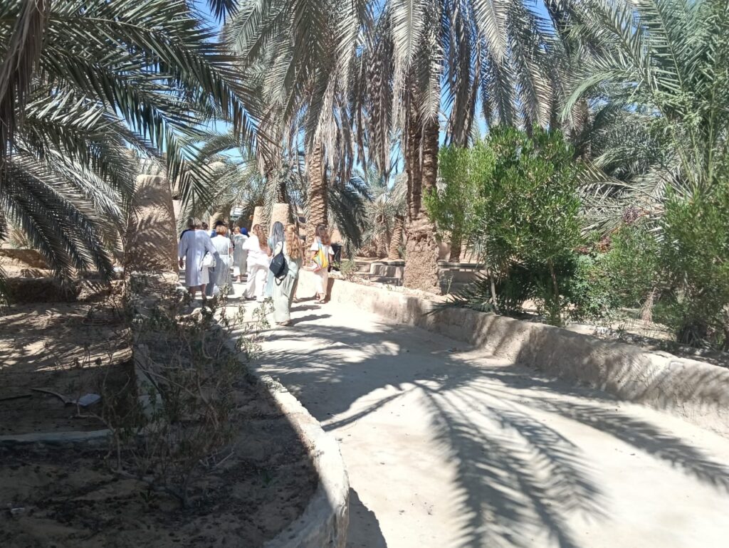 سياح أجانب خلال زيارتهم مكتبة مصر العامة بسيوة للتعرف علي التراث السيوى وثقافة الواحة