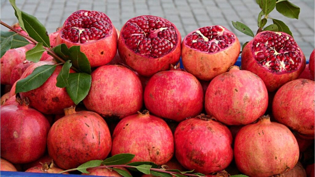 وفد من جنوب أفريقيا يزور القاهرة تمهيدًا لبدء تصدير الرمان المصري الطازج