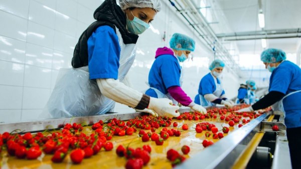 2771372660783202512100242364236