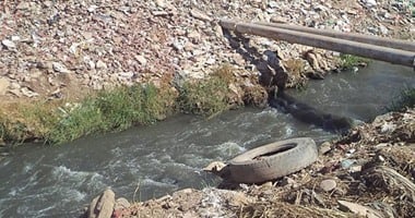 7201611163652671تلوث-مياه-النيل-فى-أسوان-(9)