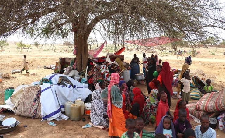 RF1280505_3-345ba306-81d7-4100-97a8-a2940c403452