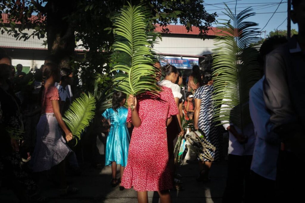 1148808-1755243754 1148808-1755243754