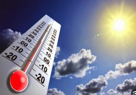 5cff97dbc1624c0d39b20e48af2a782d